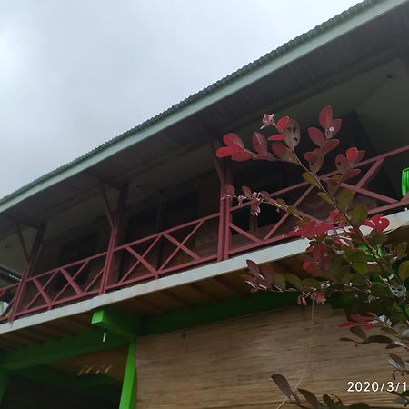 Green Forest Tangkahan Bilik gambar