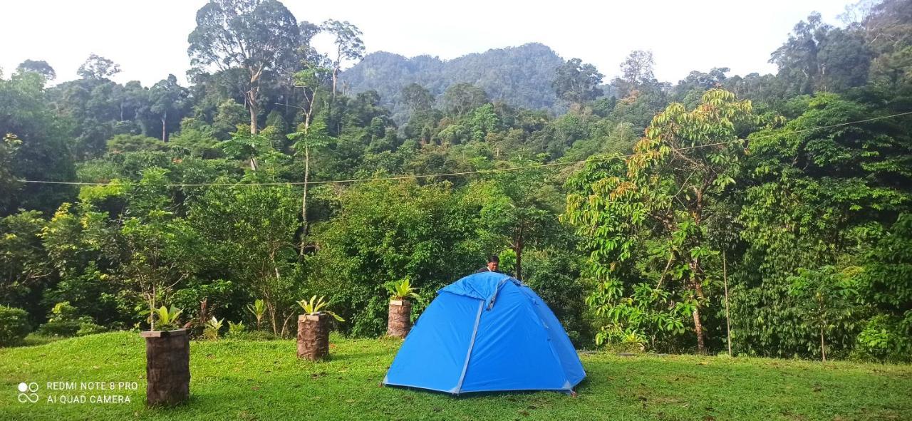 Green Forest Tangkahan Luaran gambar