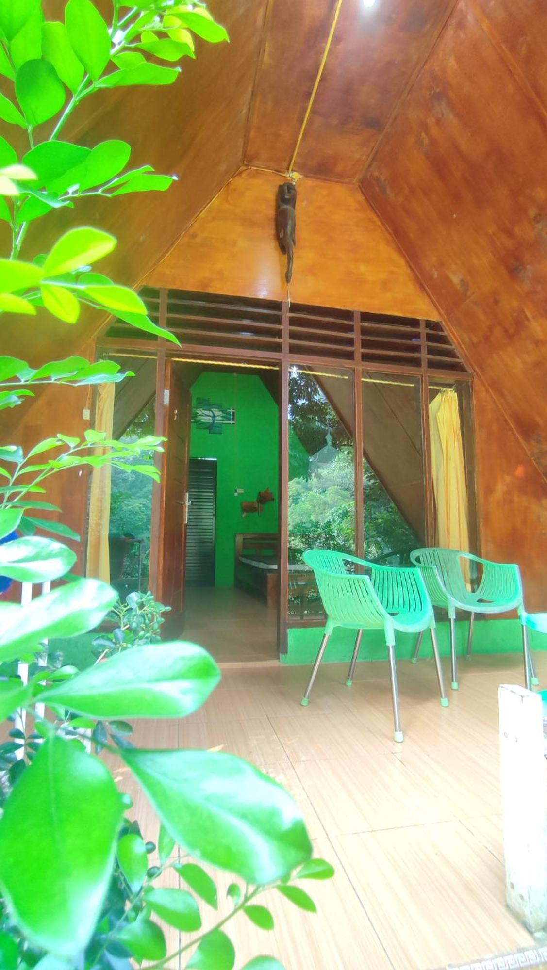 Green Forest Tangkahan Bilik gambar