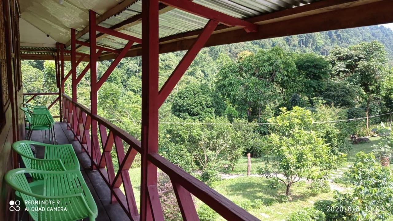 Green Forest Tangkahan Bilik gambar