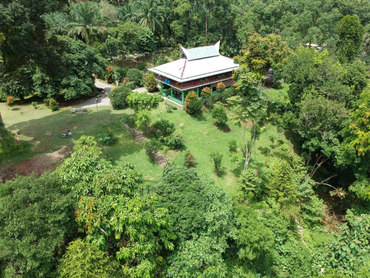 Green Forest Tangkahan Luaran gambar