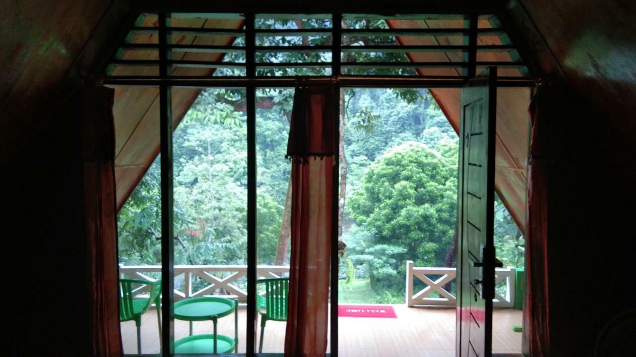 Green Forest Tangkahan Luaran gambar