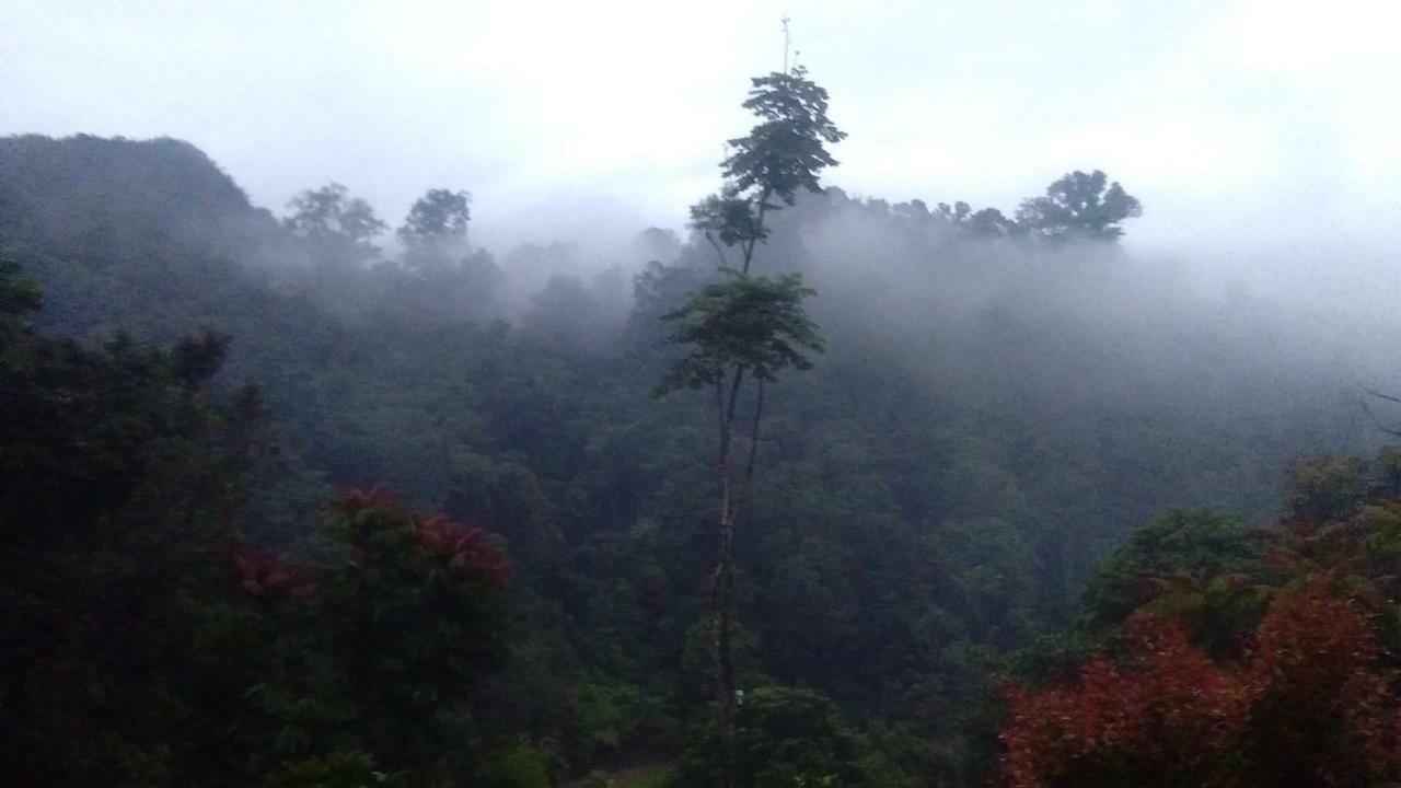 Green Forest Tangkahan Luaran gambar