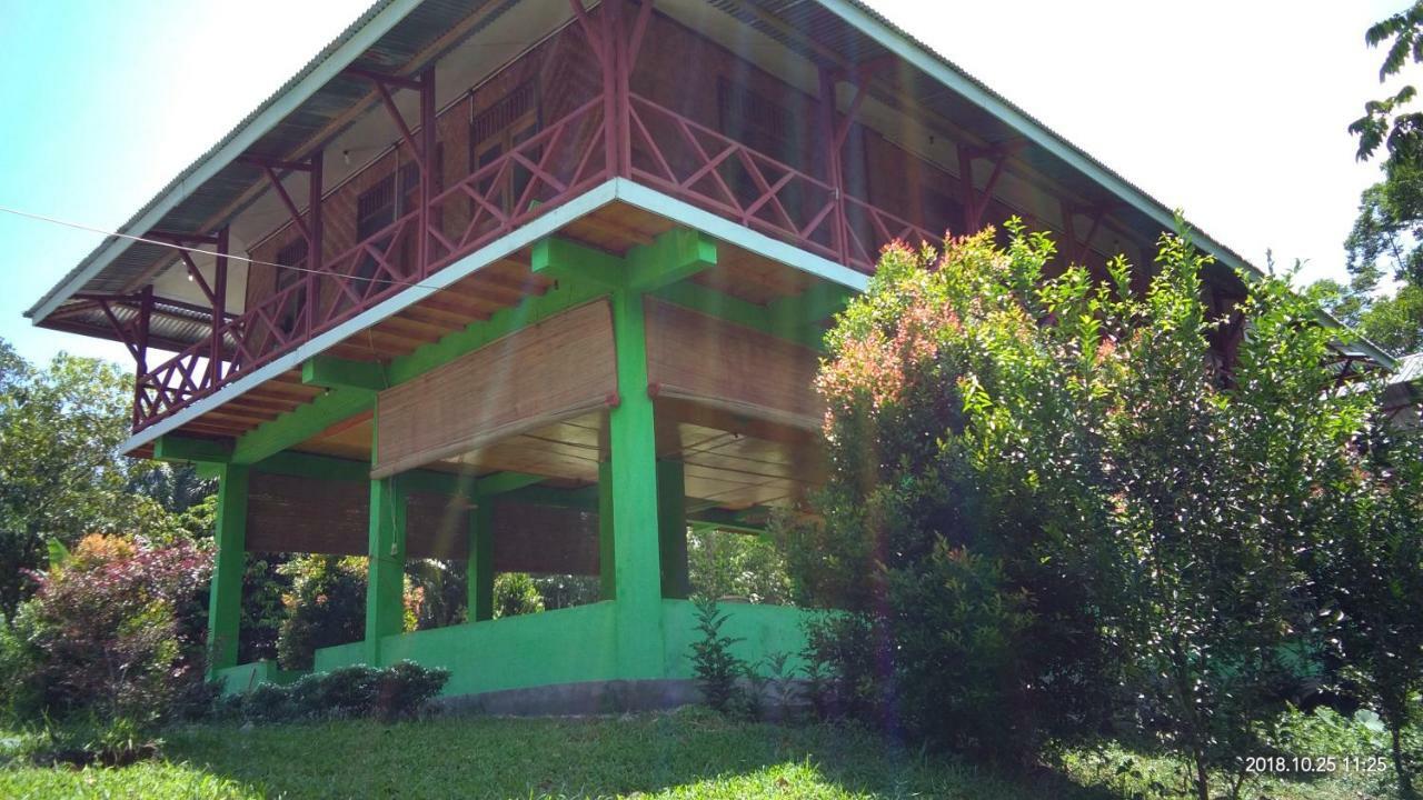 Green Forest Tangkahan Luaran gambar
