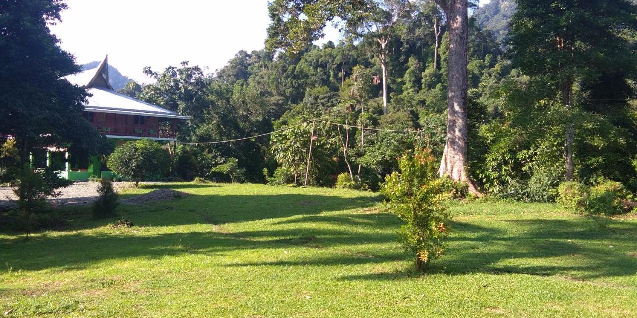 Green Forest Tangkahan Luaran gambar