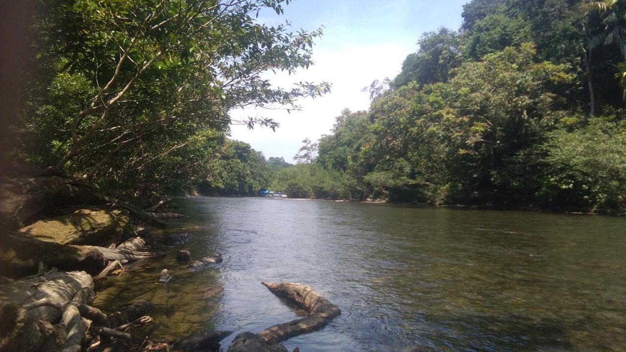 Green Forest Tangkahan Luaran gambar