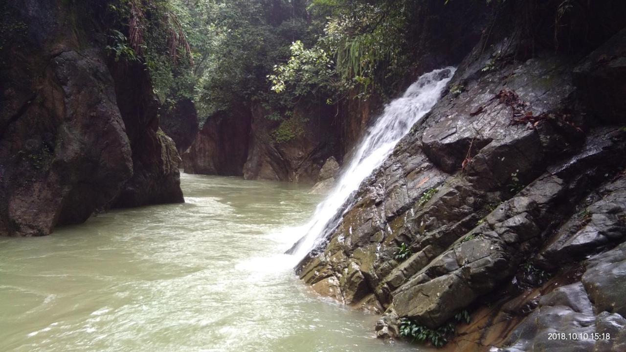 Green Forest Tangkahan Luaran gambar