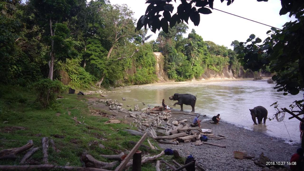 Green Forest Tangkahan Luaran gambar